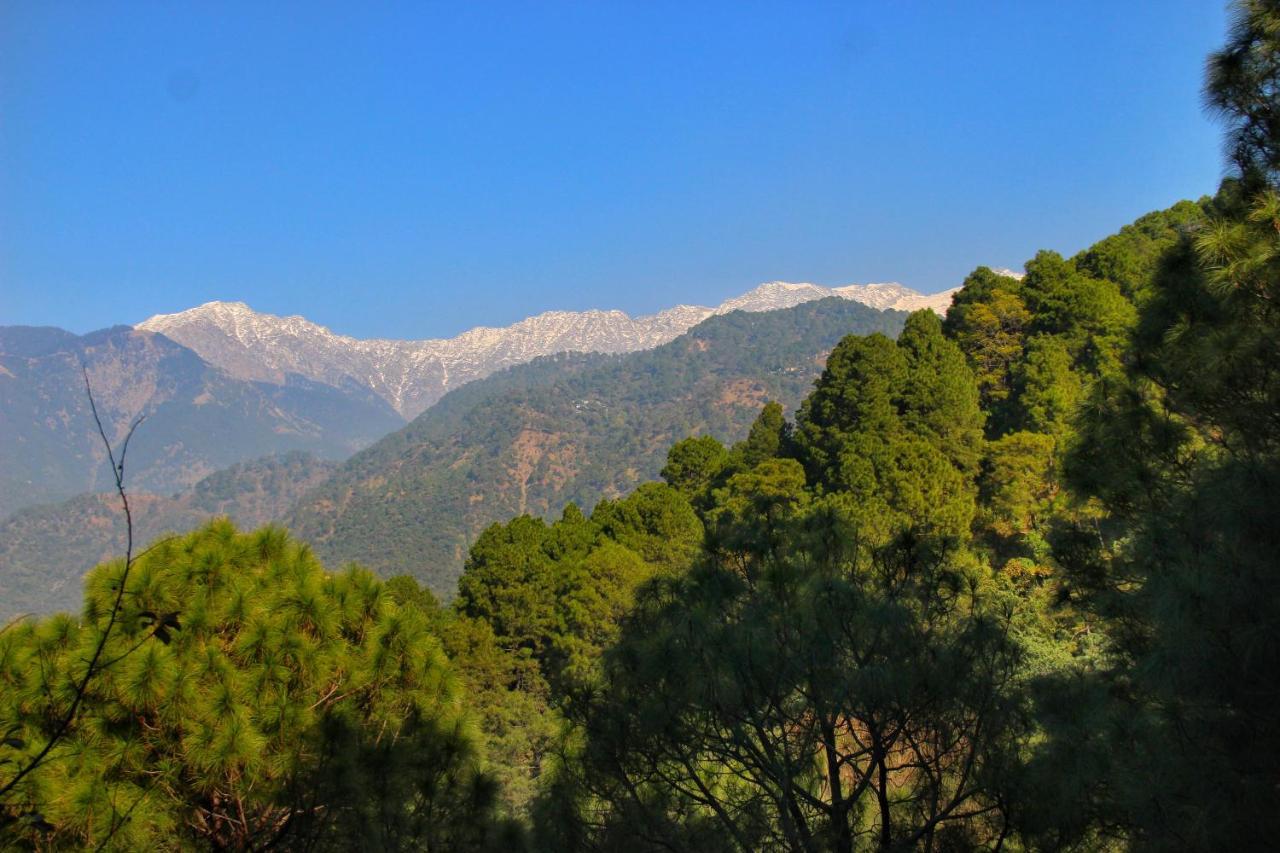 Rendezvous Resort Dharamshala Extérieur photo
